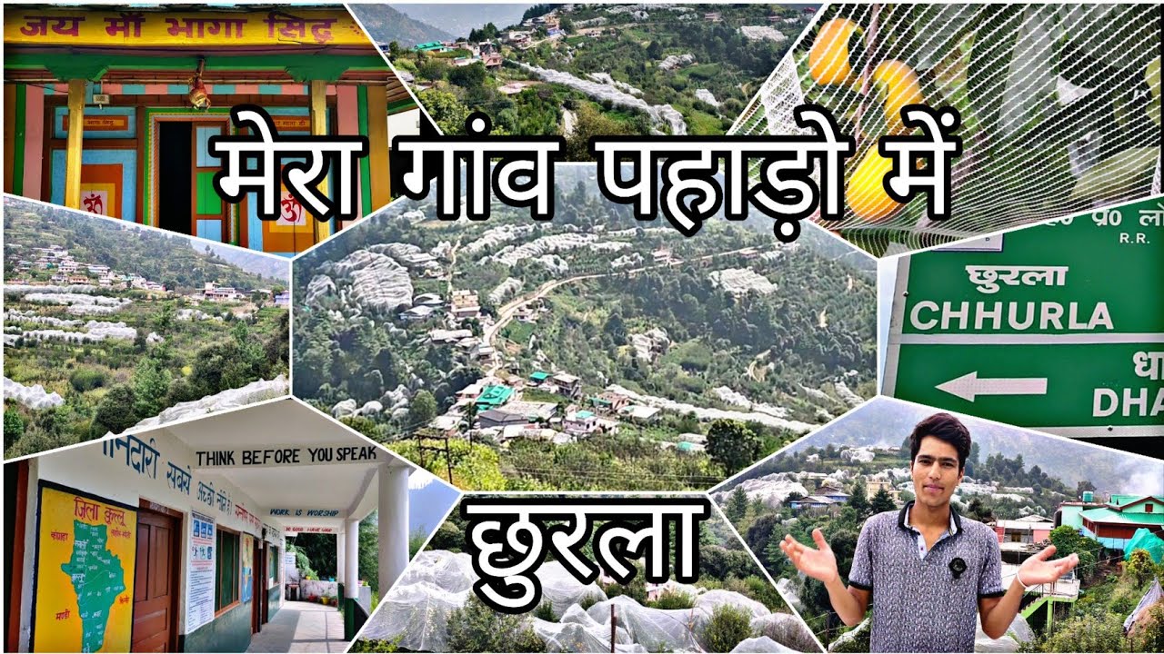 Persimmon Village छुरला | My village tour Chhurla | Himachali Village Tour 2021|#VillegeTour#Chhurla