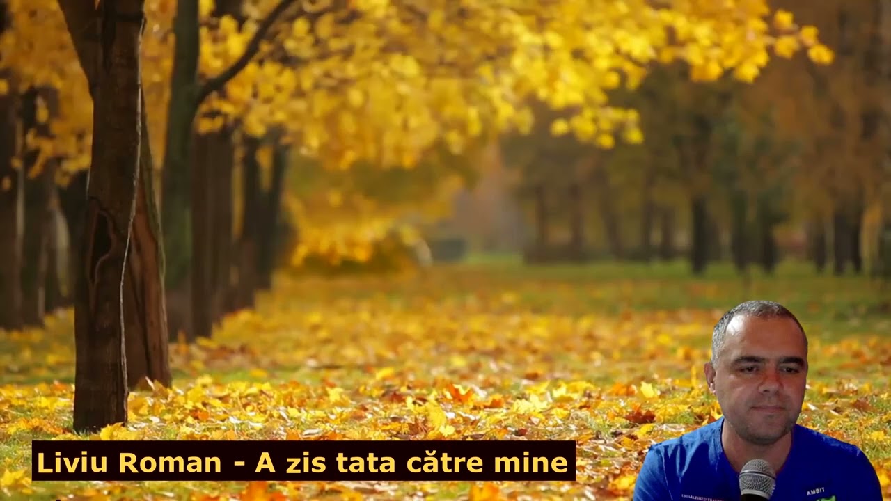 Liviu Roman - A zis tata către mine
