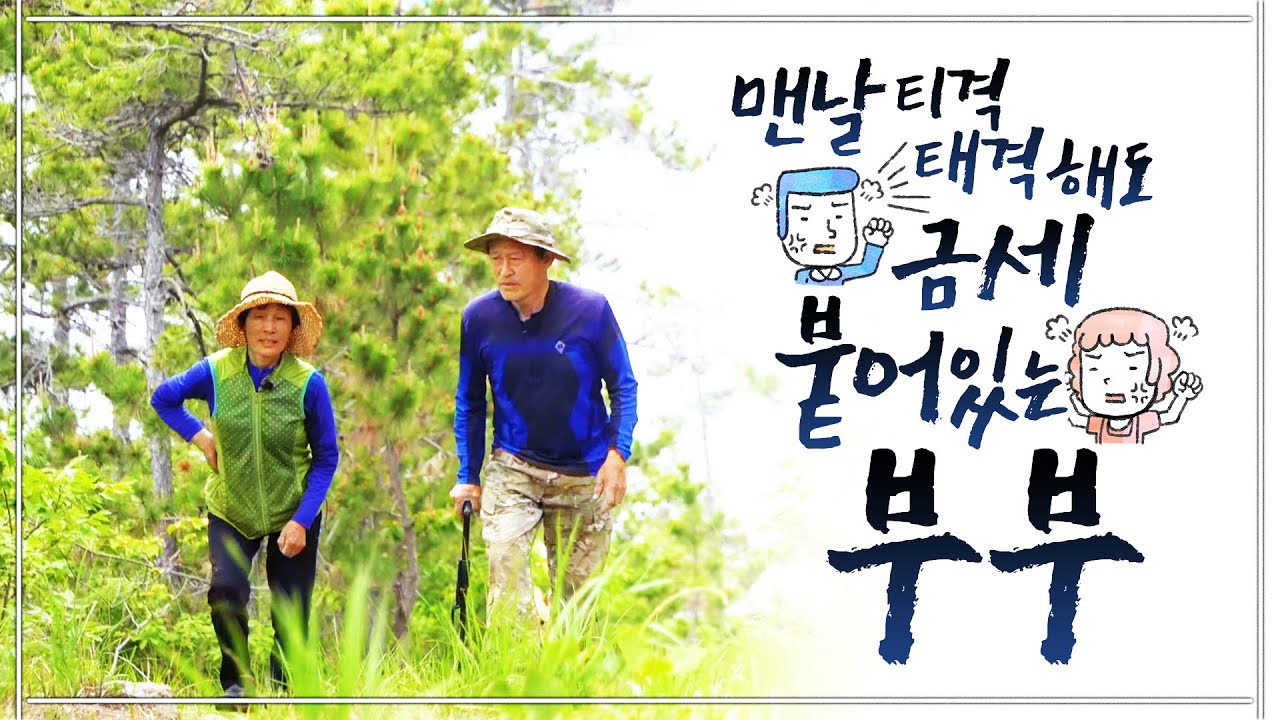 손에 비린내 빠질 날이 없었죠. 갑오징어 하루에 천마리도 더 손질했었죠.