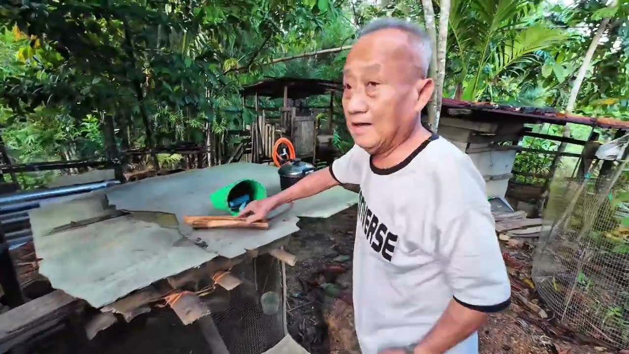 SUASANA DI KAMPUNG SELEPAS SEMUA SUDAH BALIK DARI BRUNEI // CHEK KEBUN SAYUR DAN BAGI BABI MAKAN // 