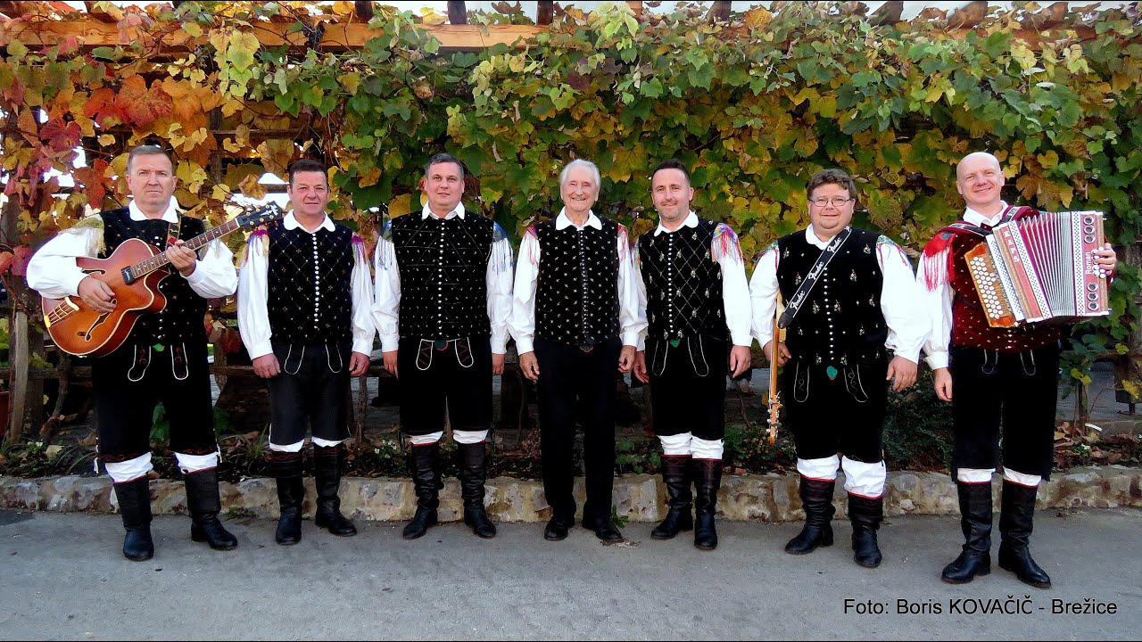 Ansambel Jarica, Andrej Bergant in Harmonikarji Tonija Sotoška - Tu je harmonika doma