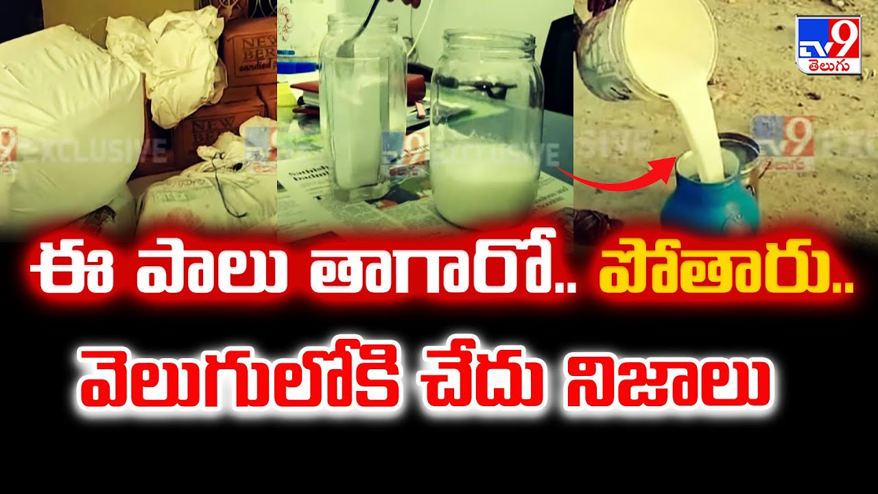 ఈ పాలు తాగారో..పోతారు.. వెలుగులోకి చేదు నిజాలు | Adulterated Milk | Ananthapur - TV9