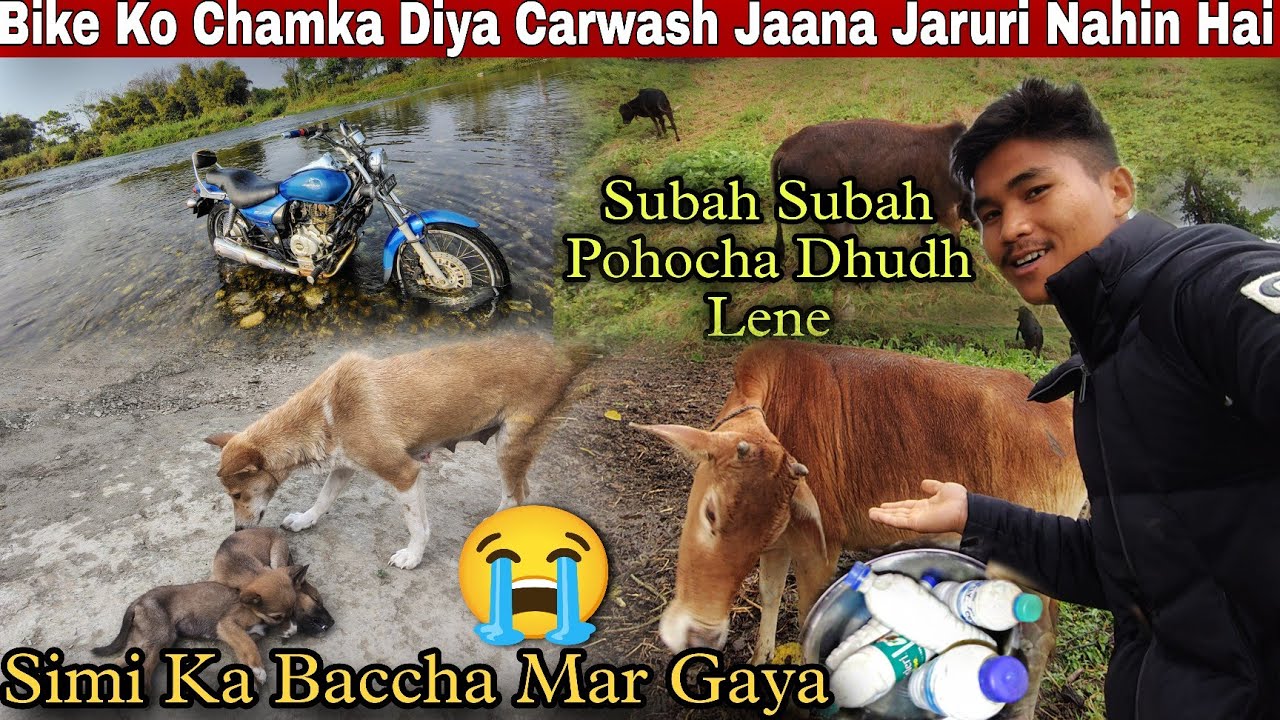 Hamara Doggy Baccha Mar Gaya 😢 || Bhai Bahut Dhuki Hai😭