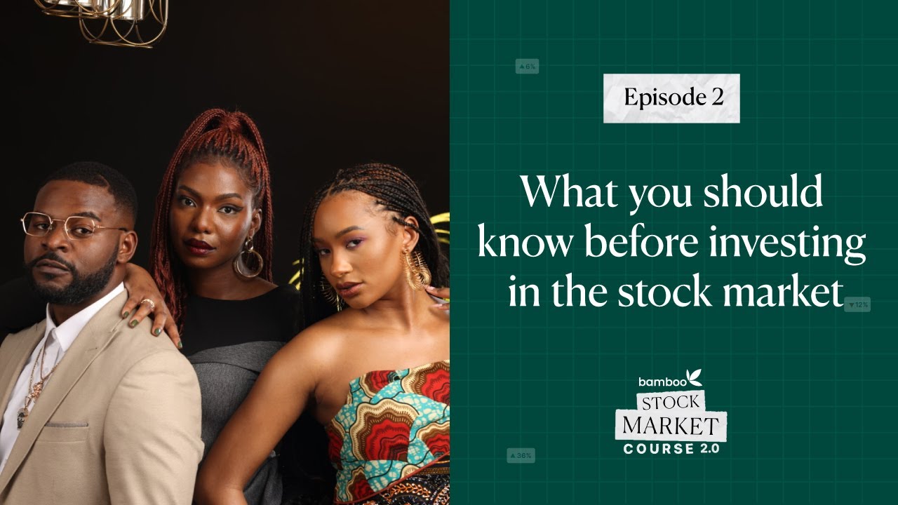 Episode 2 - What you should know before you invest in the stock market