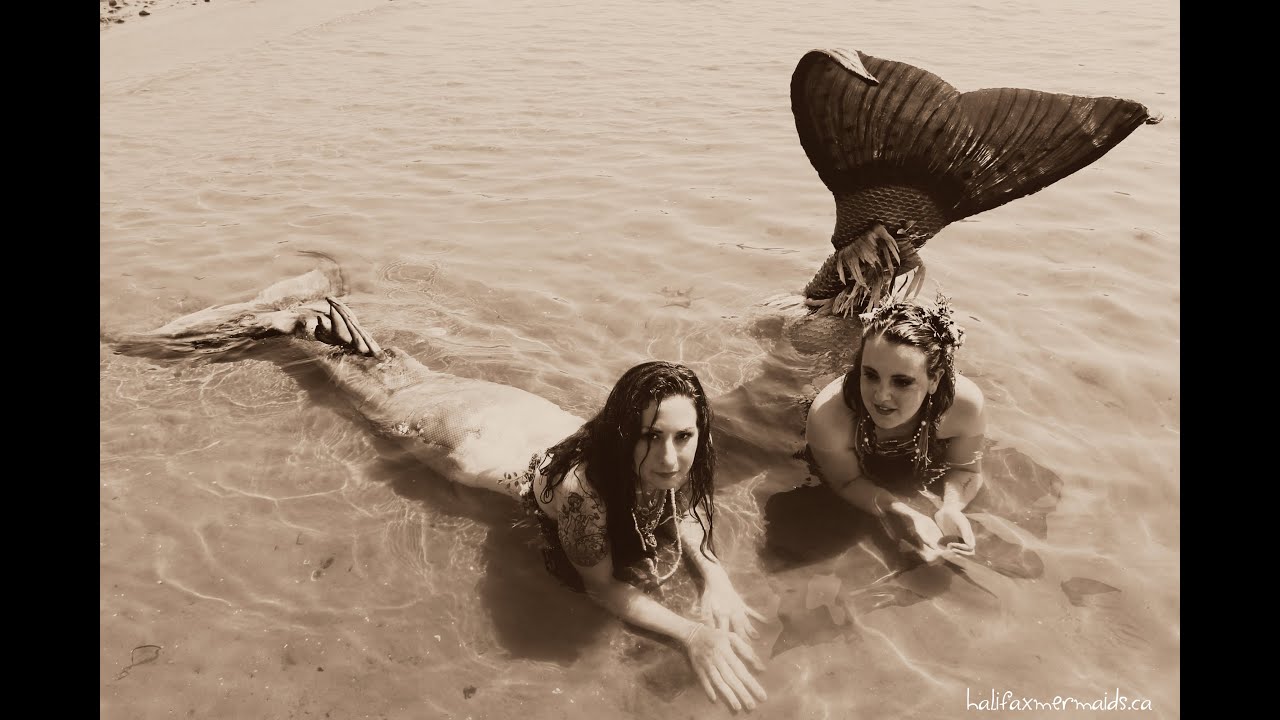 A Fishy Summer: Part 4: The Beach