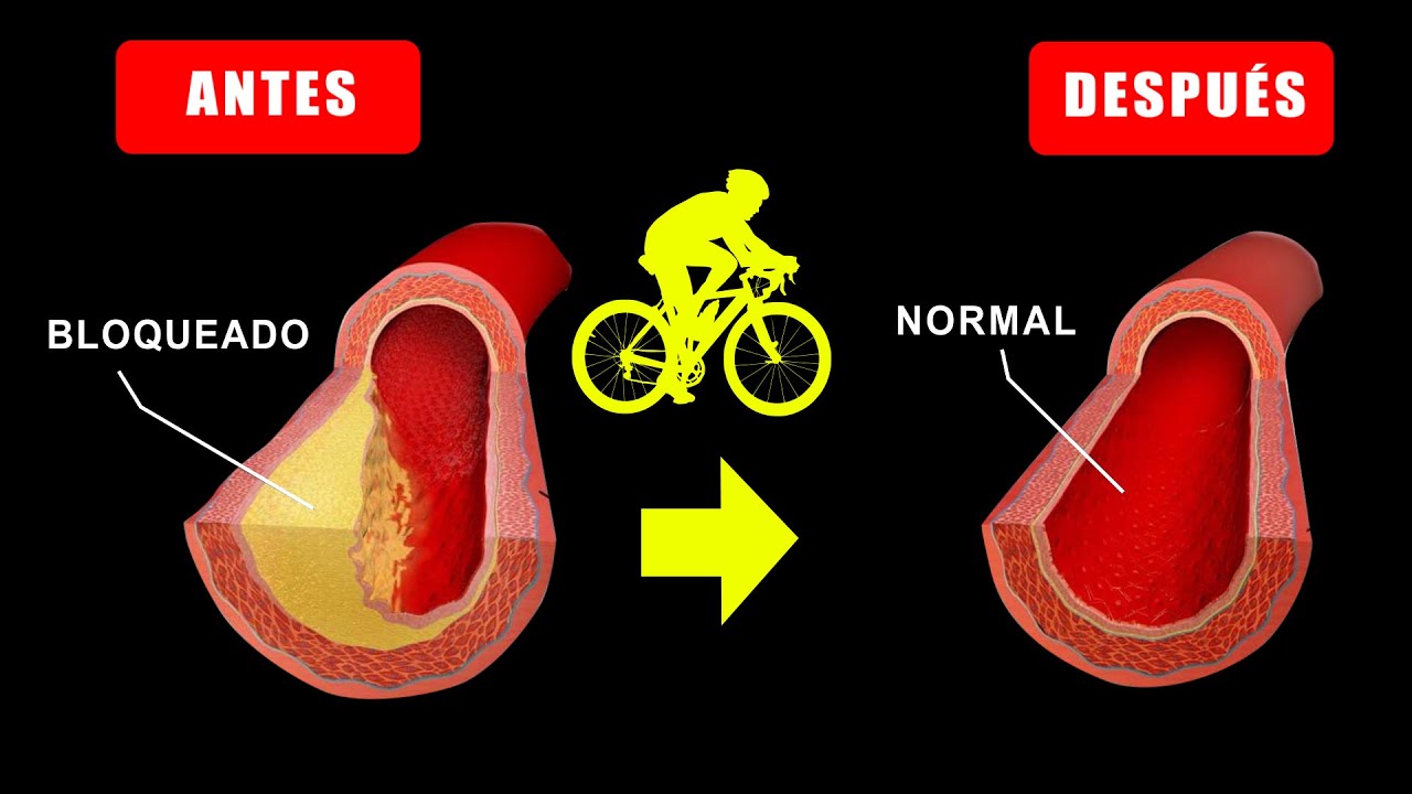 CICLISMO CON LA PRESI&Oacute;N ARTERIAL ALTA (+120/+80) 🚲 SALUD CICLISTA