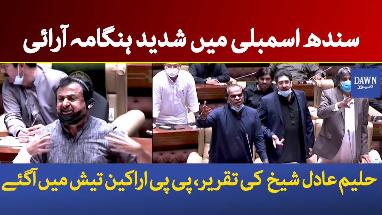 Fight in Sindh assembly during Haleem Adil Sheikh Speech | Dawn News