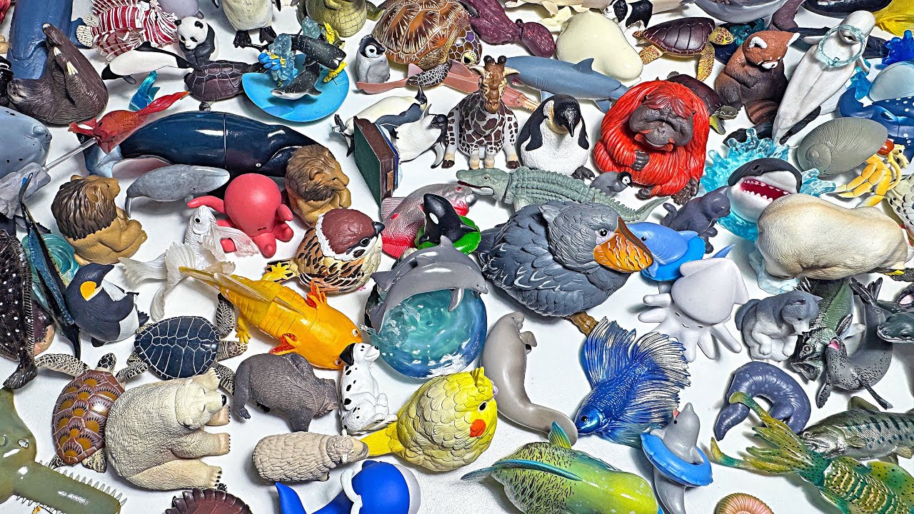 200 Gachapon Sea Animals & Wild Animals - Shark, Whale, Dolphin, Orca, Penguin, Walrus, Crocodile