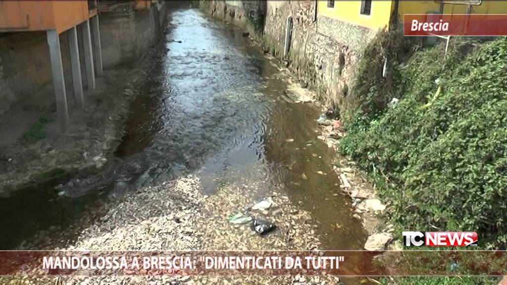 Mandolossa a Brescia: 