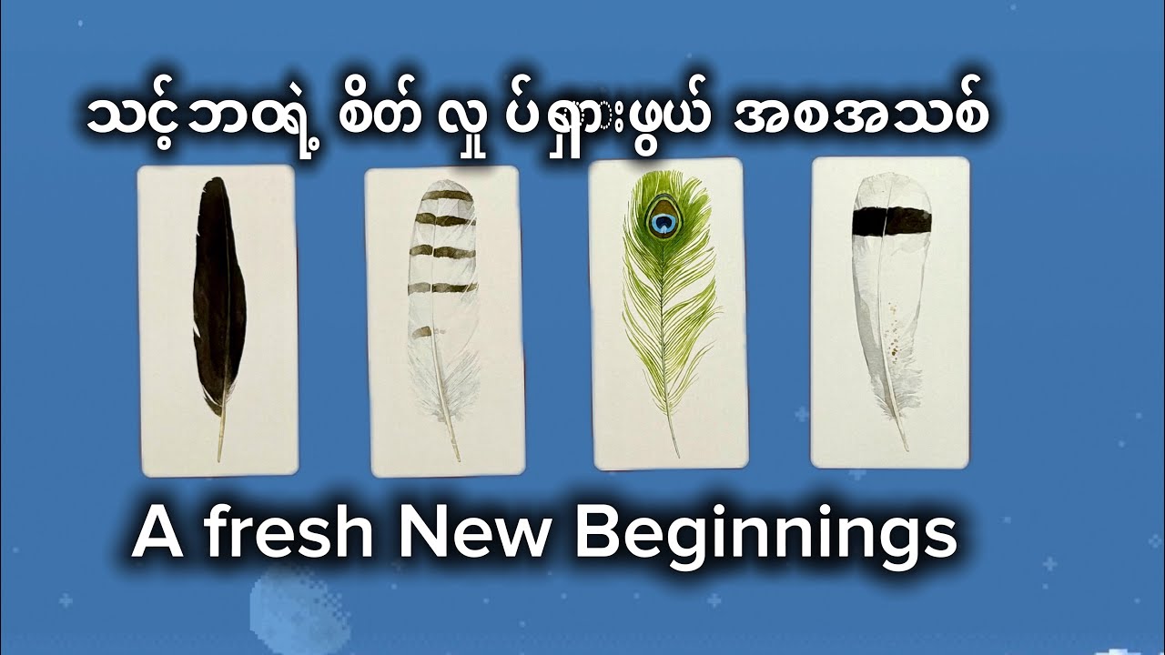 🎀🎀 သင့်အတွက် စိတ်လှုပ်ရှားစရာ ဘဝသစ်စတင်ခြင်း🎀🎀