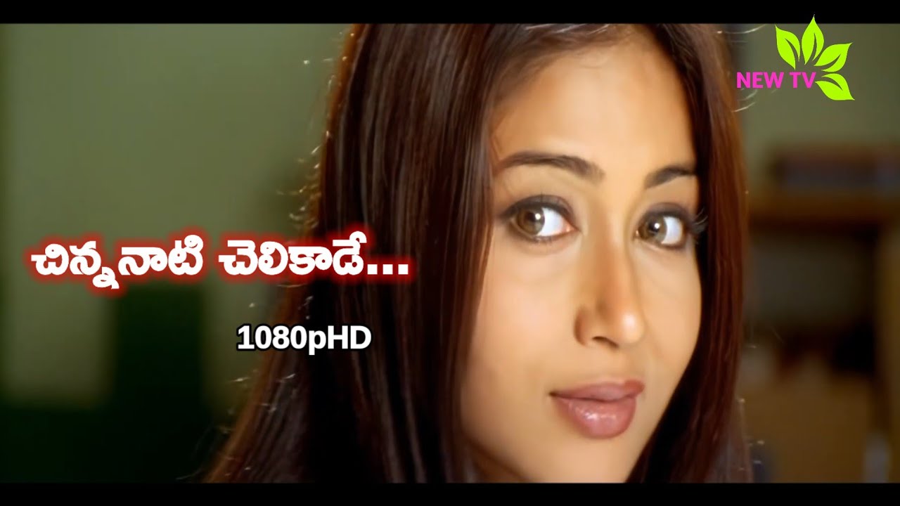 Chinnanati Chelikaade Full 1080pHD 320Kbs Song