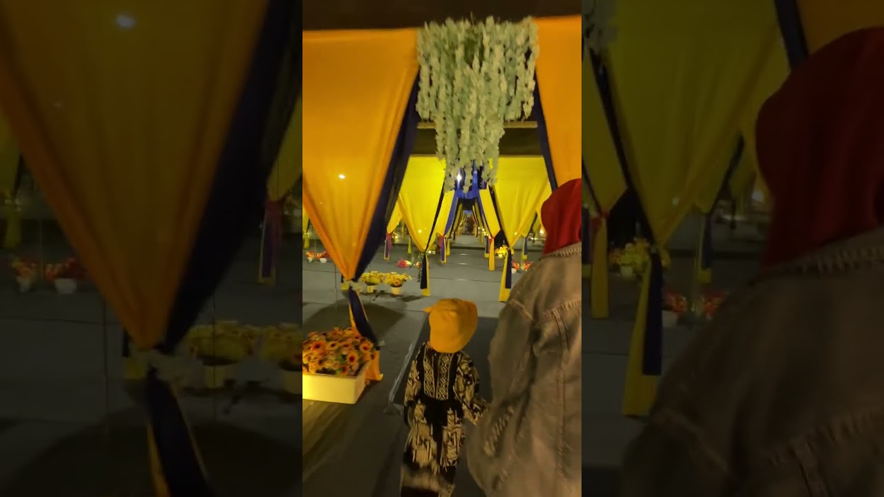 Taman bunga celosia Semarang part12