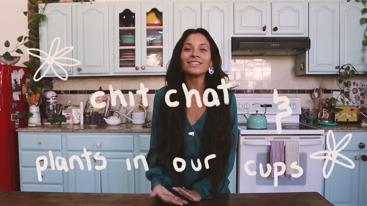 Chit Chat & a Cup of Plants - Self Care ☀︎︎