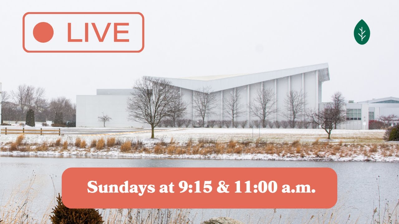 Sunday Services at Grace Church -11:00