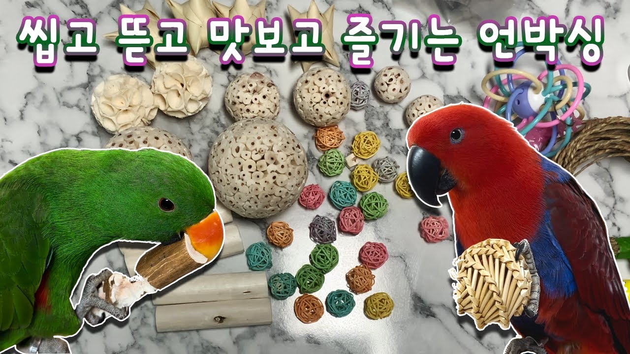 [지구젤리/언박싱] 씹고 뜯고 맛보고 즐기는 언박싱 영상📦