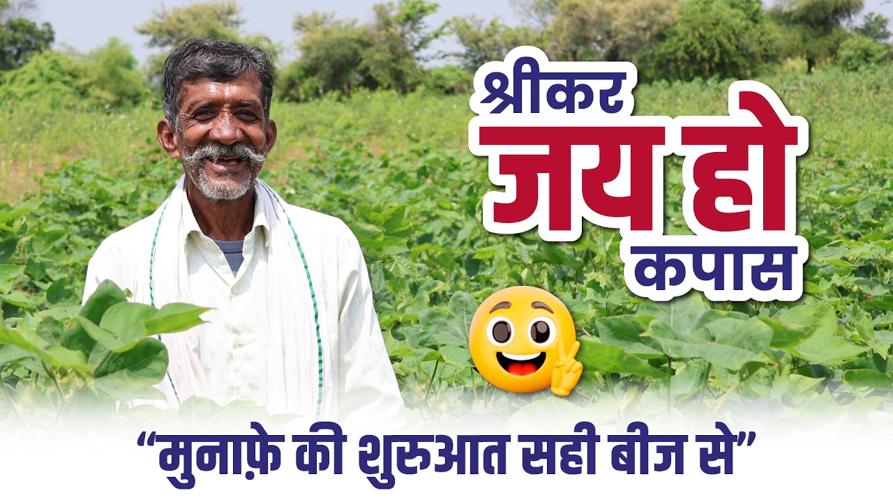 🔥 कम खर्च, बंपर पैदावार | श्रीकर जय हो BG II कपास | किसान दिलीप सिंह की सफलता कहानी💪 | Success Story