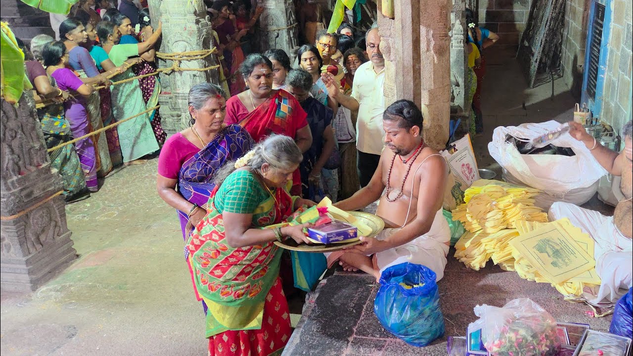 Sri Sivakamasundari Amman sannidi 12.5.25 Chithrapornami Sari Distribution Deekshithars