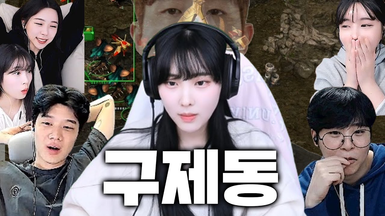 이제동이야 뭐야   [츠캄옥션]