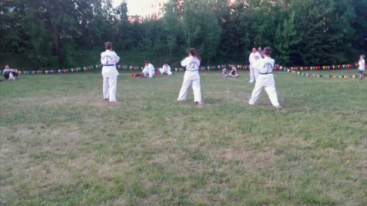 Pokaz Taekwon-Do w Radzionkowie - 2017