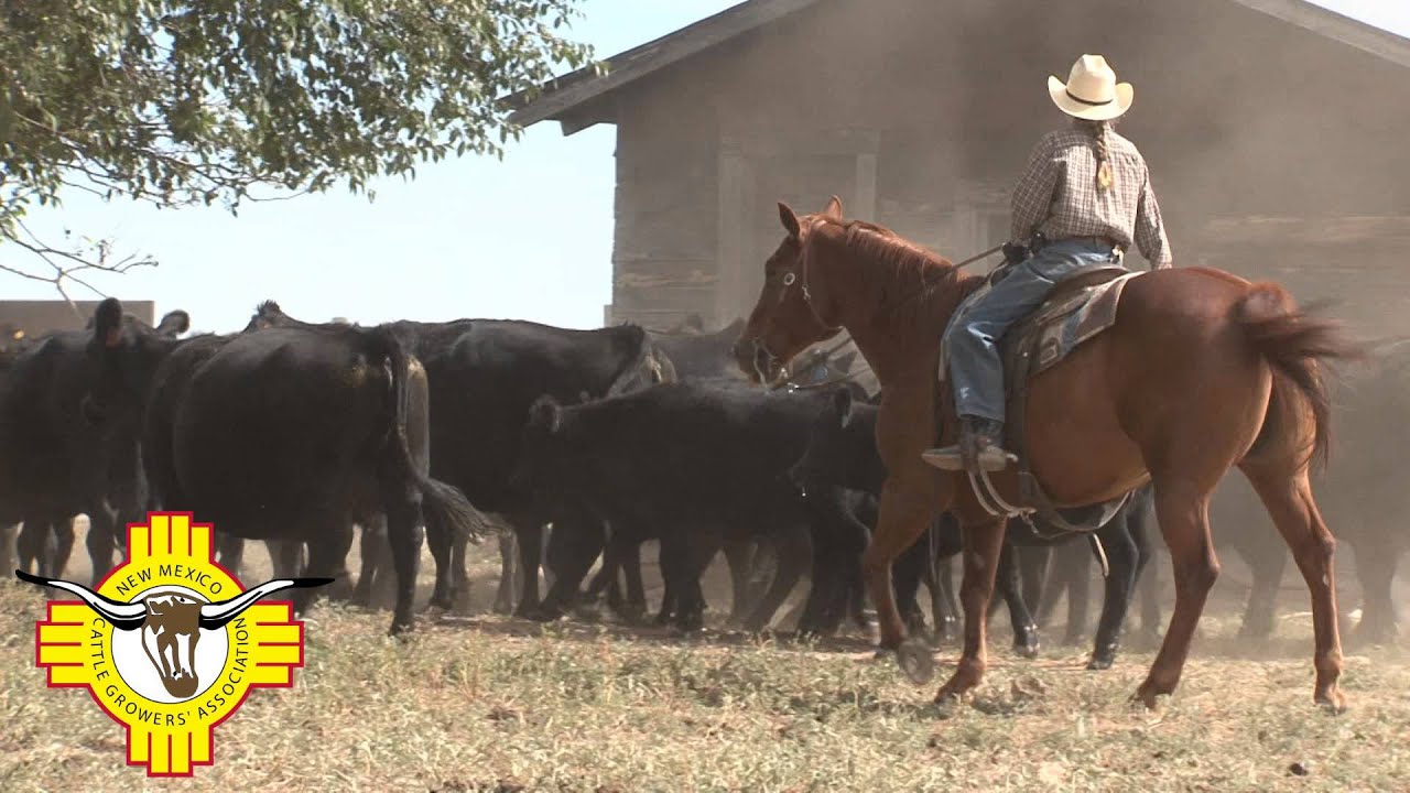 New Mexico Ranchers Make the Community a Better Place