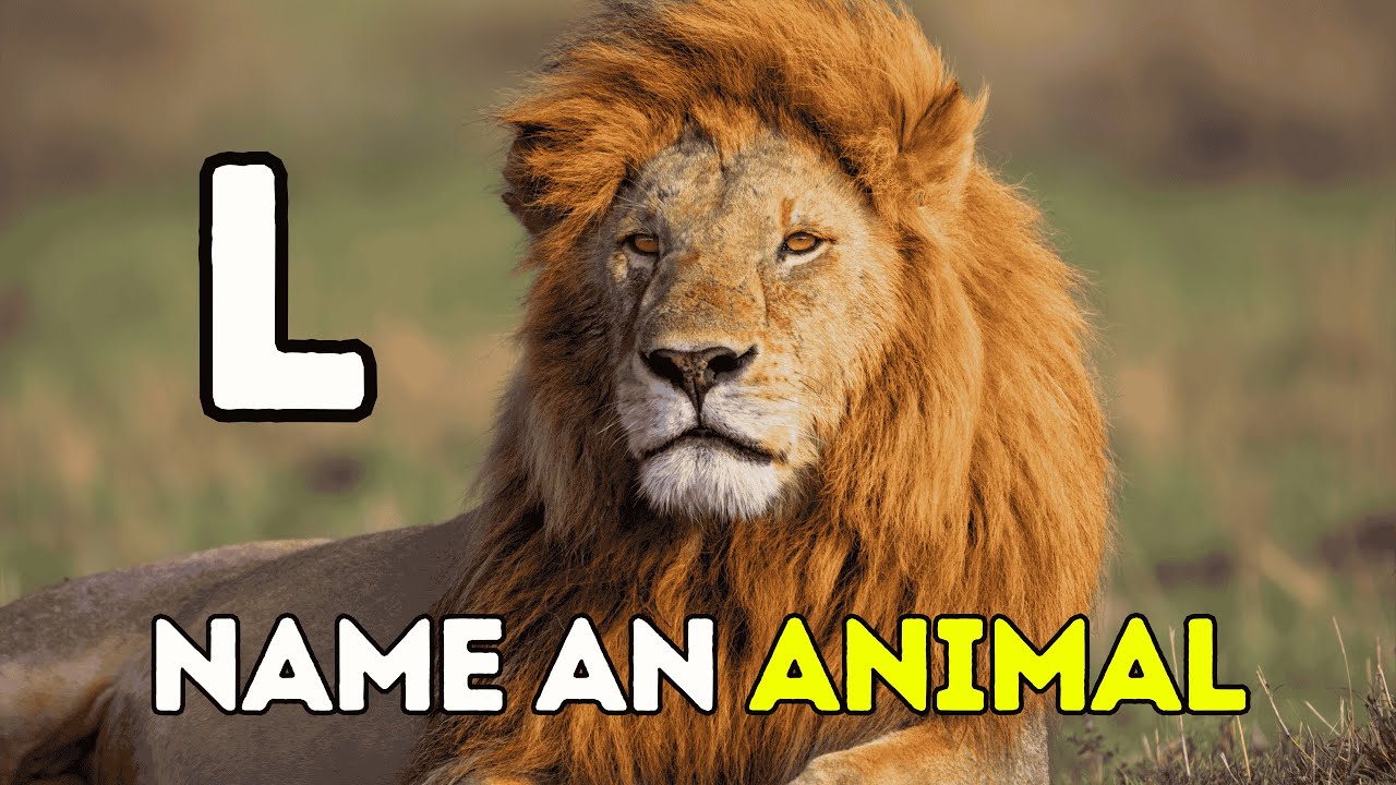 Only GENIUSES Beat This Animal Alphabet & Word Game Quiz 🧠🔥🐾 Brain Teaser