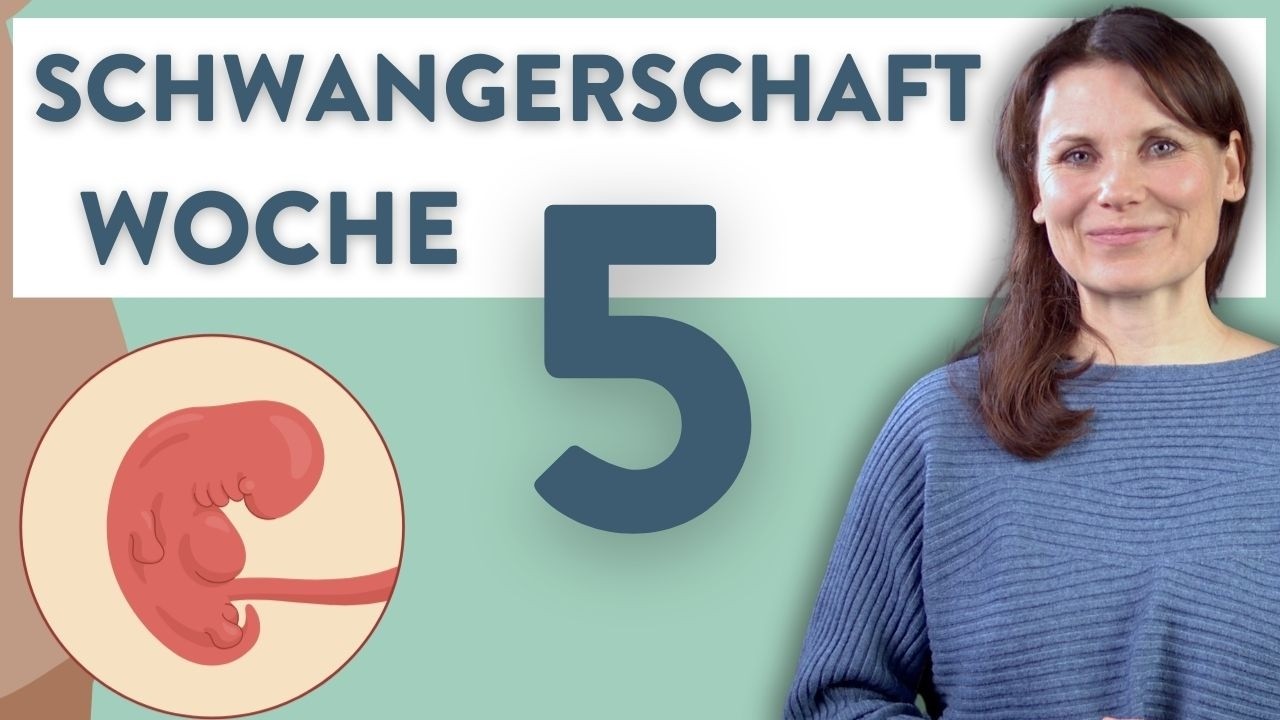 Die 5. Schwangerschaftswoche/ SSW5  - Alles, was du jetzt wissen solltest