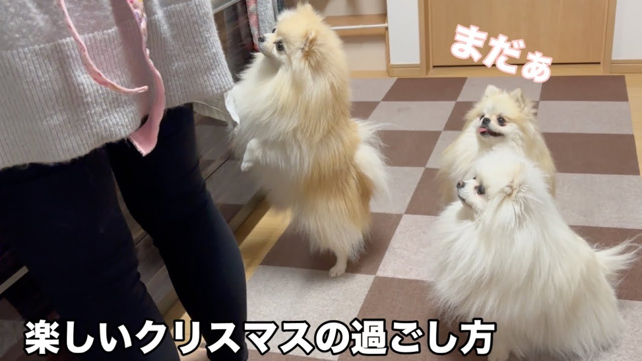 今年も最高に楽しいクリスマスパーティーを過ごしちゃいました