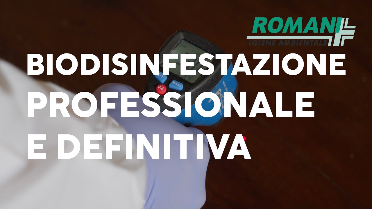 Romani Disinfestazione Antitarlo con il Calore