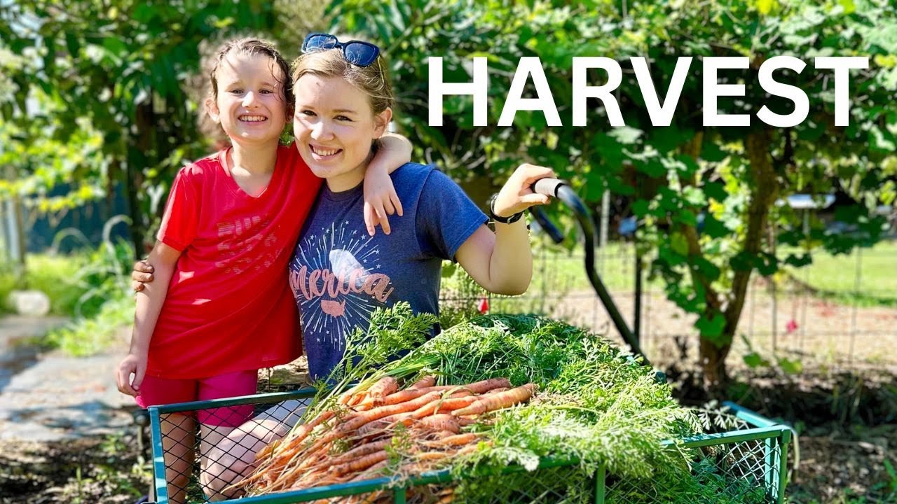 Spring Garden HARVEST || PRESERVING the ABUNDANCE from our Homestead