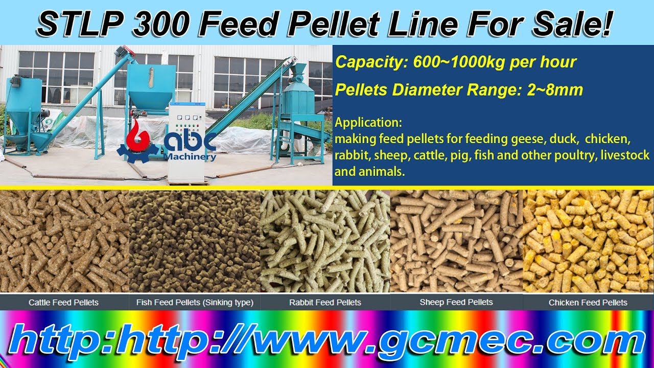 Small Feed pellet Plant-How to make animals feed pellet ( poultry)