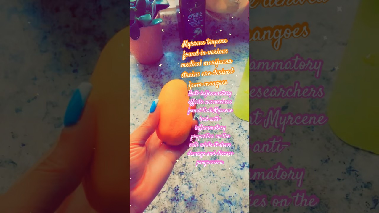 Mangoes 🥭 for pain-relief 