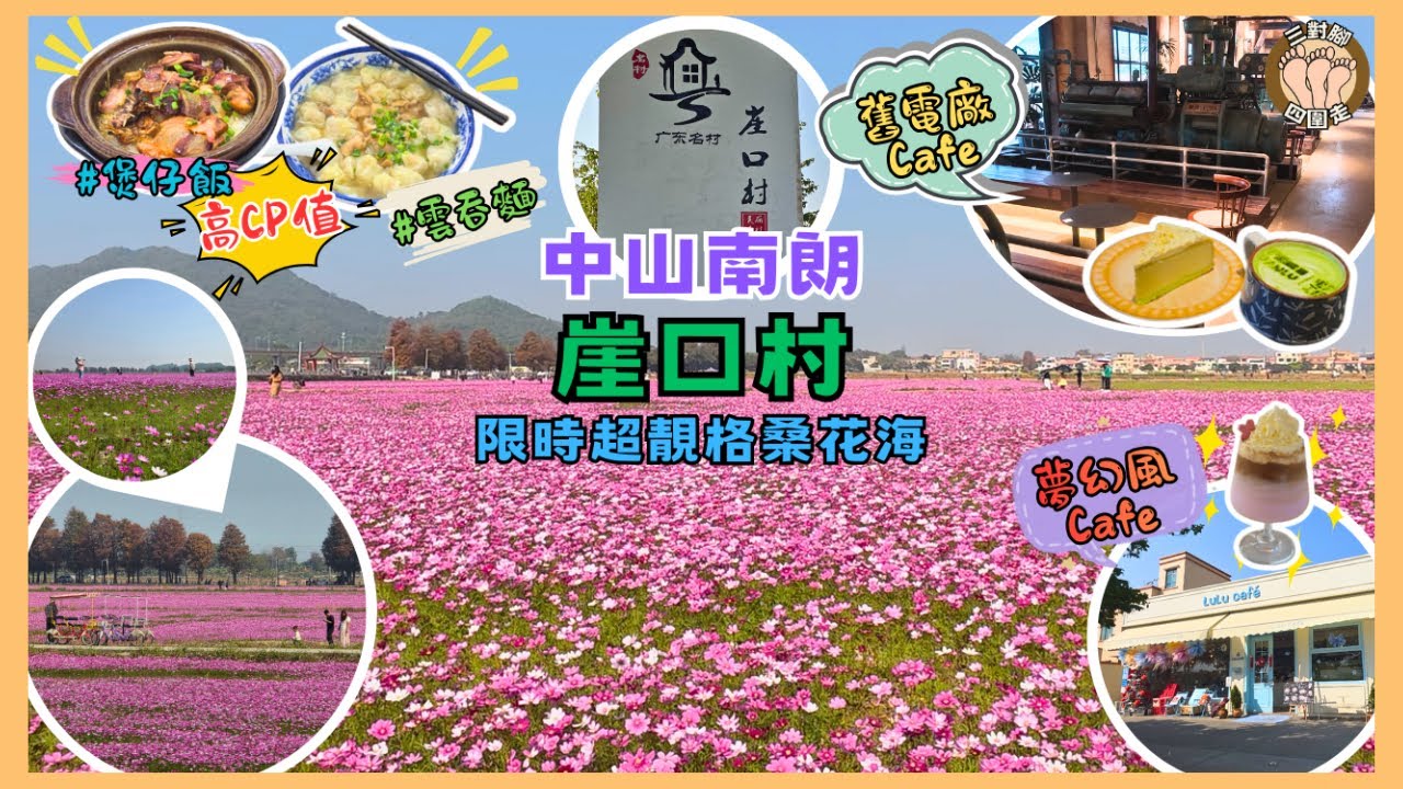 【中山限時花海】崖口村勁靚粉紅格桑花海！食四餸煲仔飯唔洗￥30 | 仲有超大碗雲吞麵+發電廠Cafe嘆啡