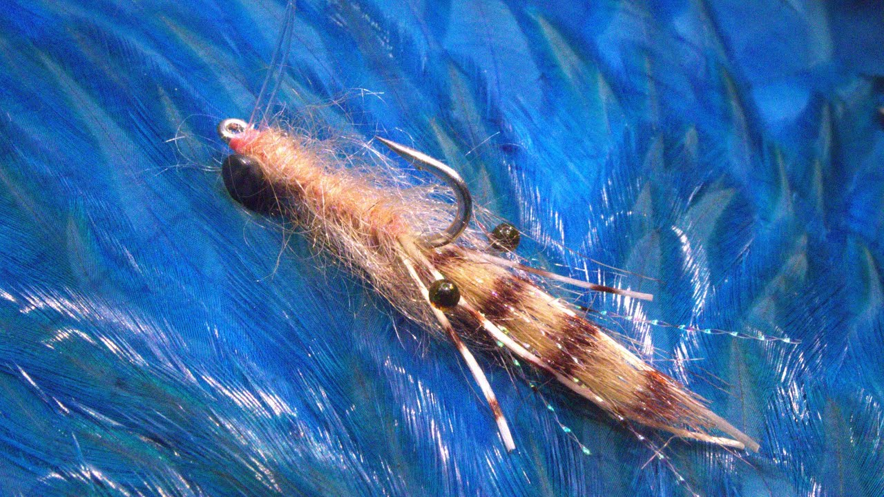 Fly Tying: A Fuzzy Shrimp with Martyn White