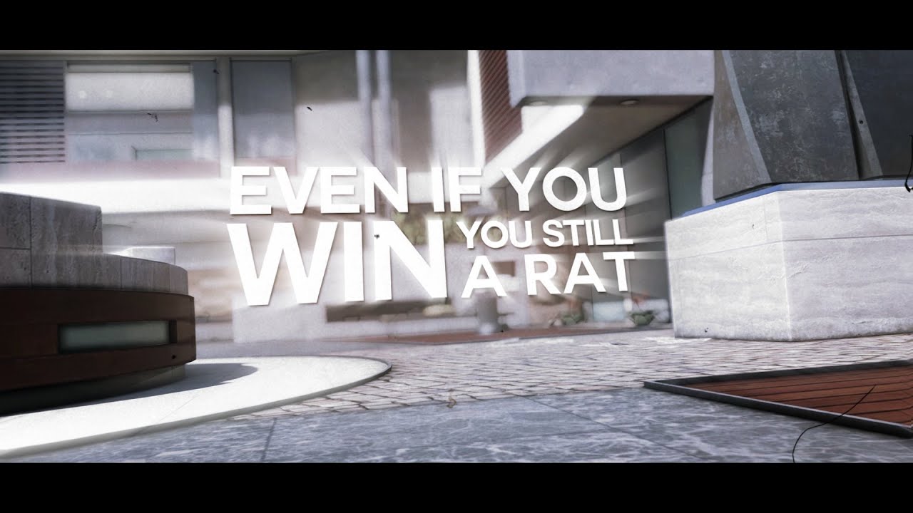 even if you win you still a rat.