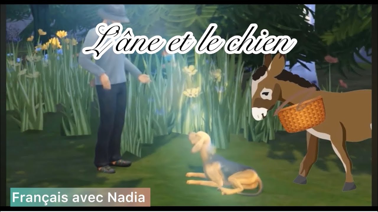 2am l’âne et le chien compréhension de l’oral séquence 4