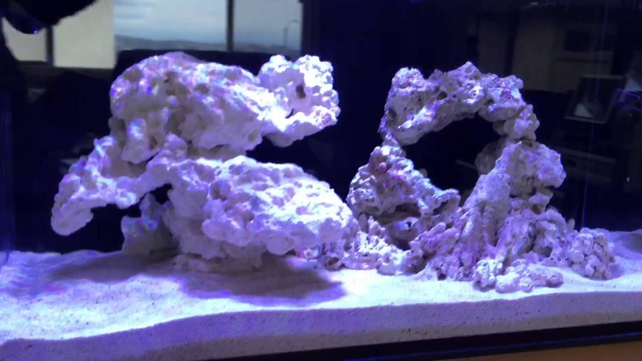 INNOVATIVE MARINE NUVO FUSION 20 - episode 1