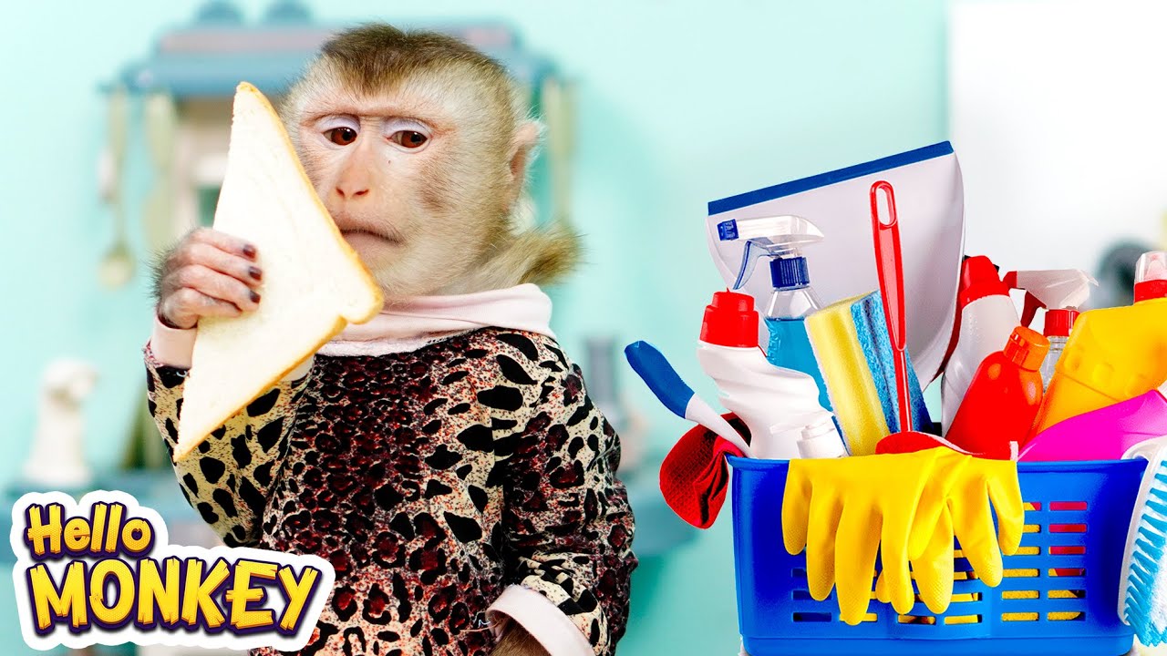 Monkey Bobo Don't Like Cleaning His House 🧹🧺