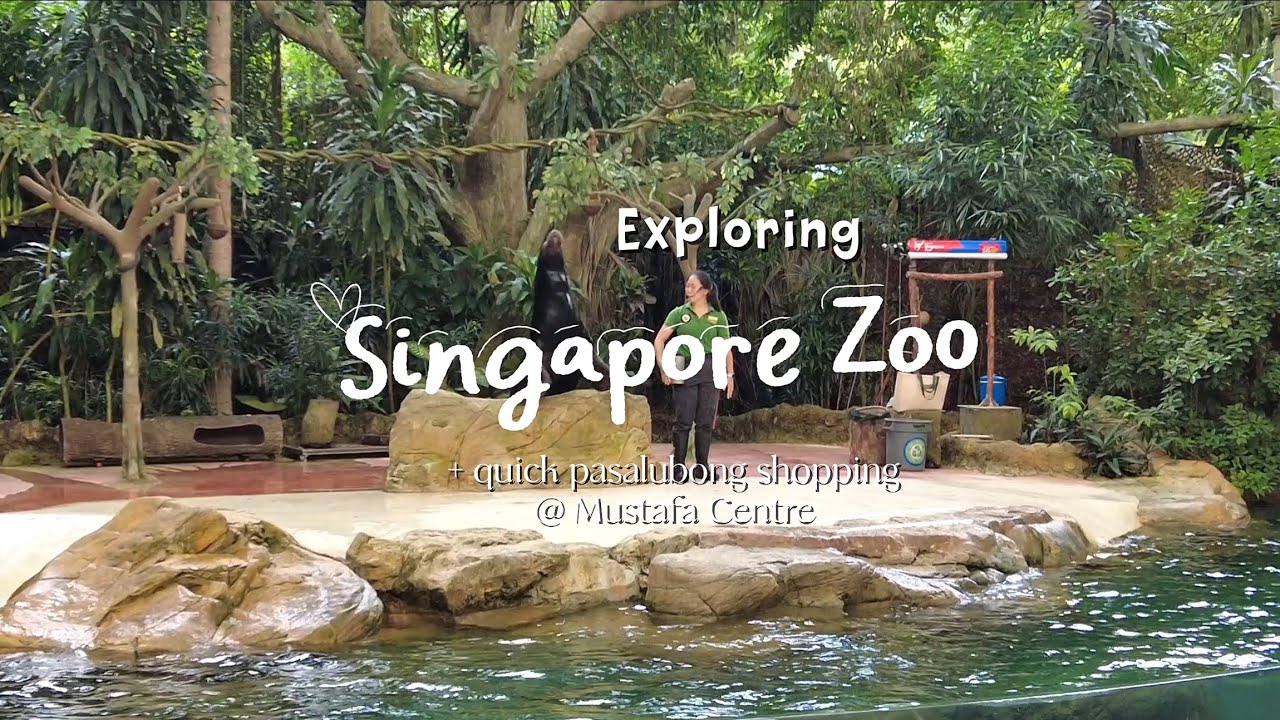 Exploring Singapore Zoo + quick Pasalubong shopping @ Mustafa Centre