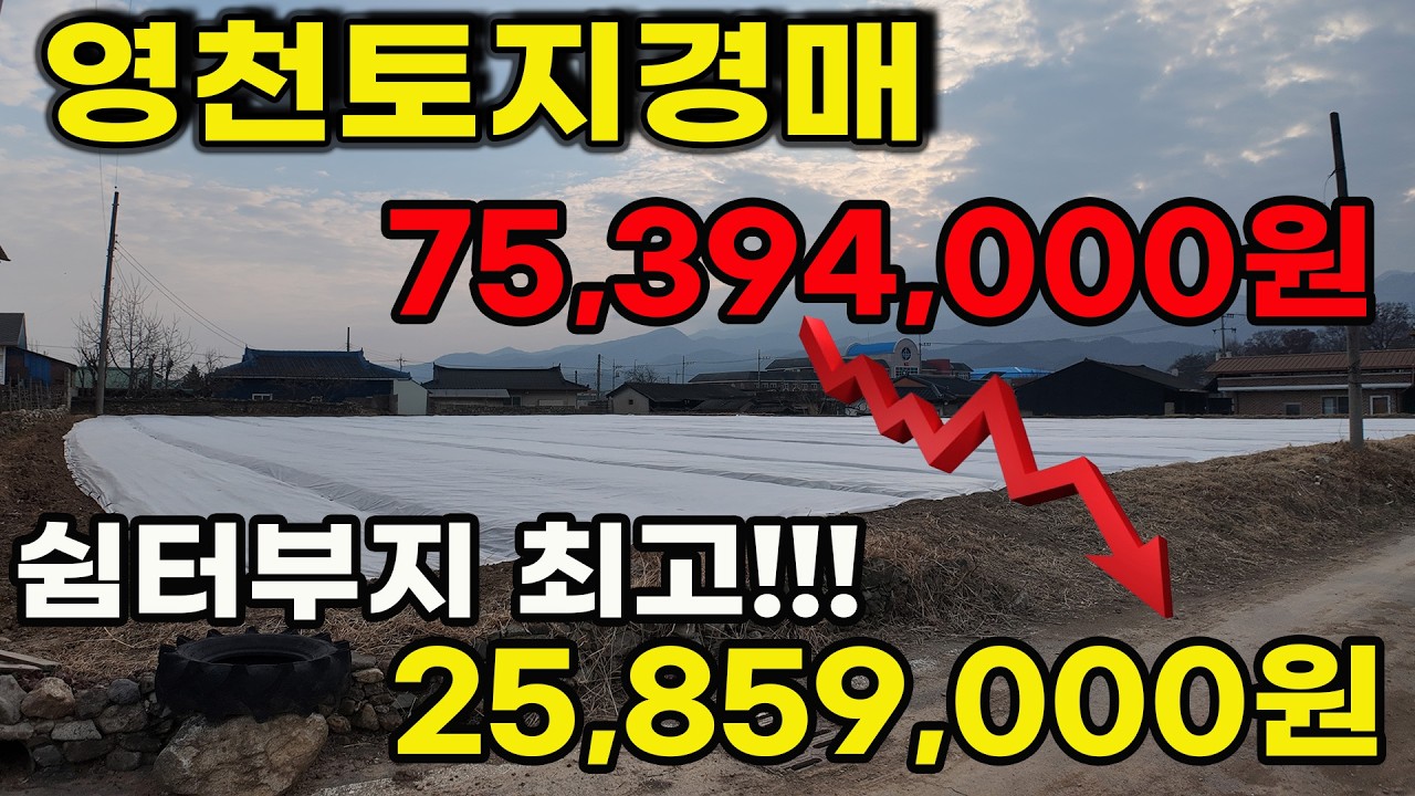 영천 토지 경매 제2종일반주거지역 90평 7차 최저가 2천5백만원 경매 다시 시작했어요