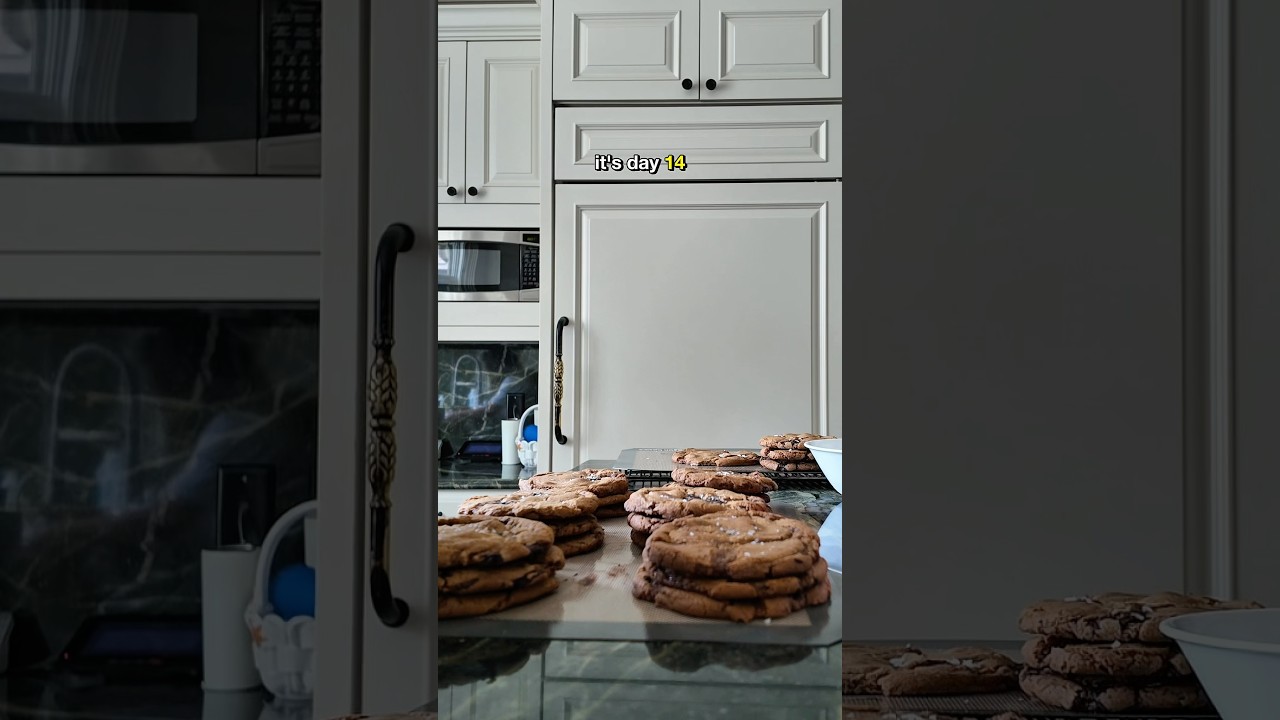 Day 14 of building a cookie business: dry cookies