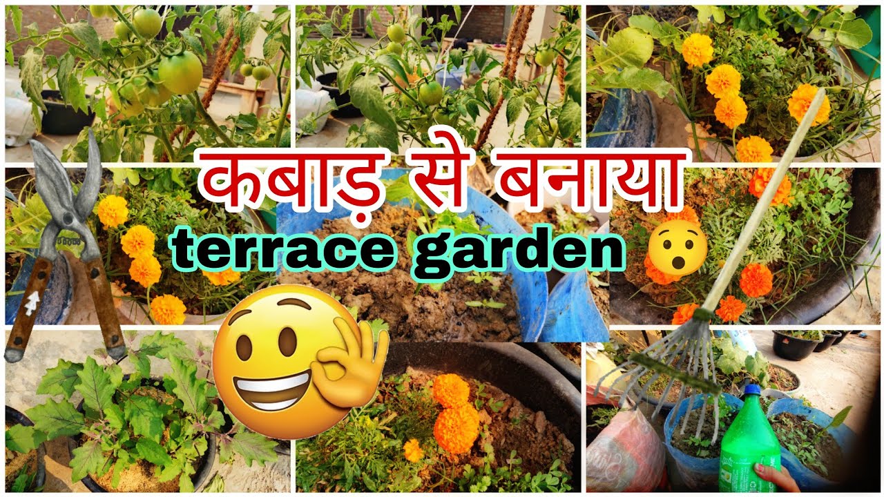 My Beautiful Winter Terrace Garden Update 🤗🤗🌞🌞🫣🫣#terracegarden #naturegarden
