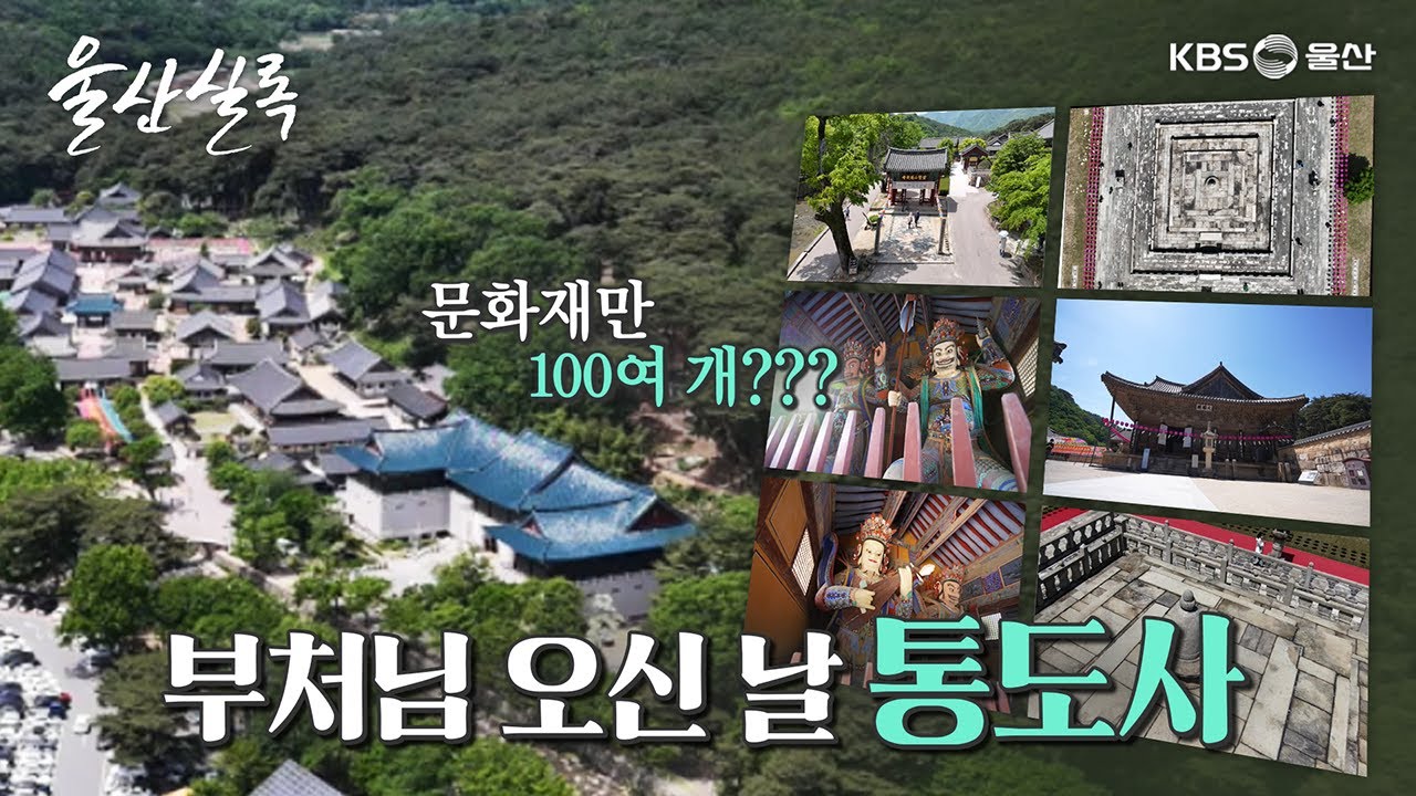 천년고찰의 가르침 통도사 [KBS울산 보물창고 - 울산실록] 24.5.14 방송