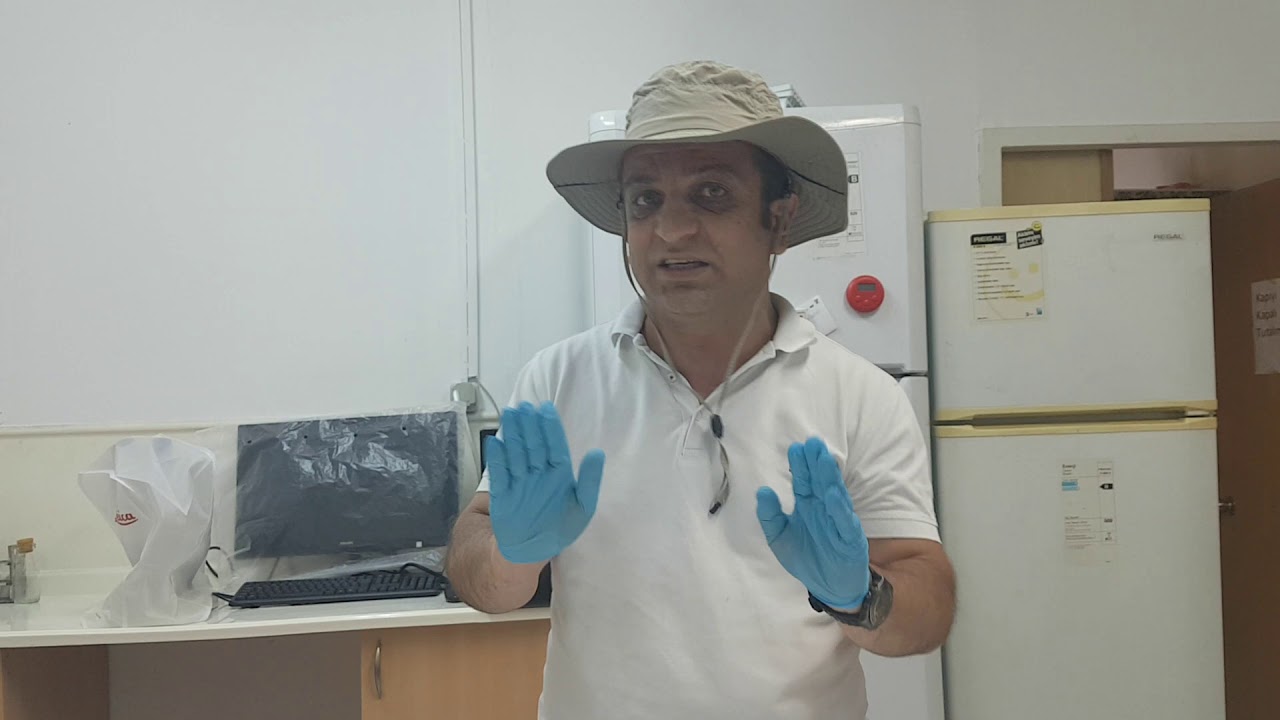 Vücudunuza kene tutunduğunda ne yapmalısınız? Ne yapmamalısınız?