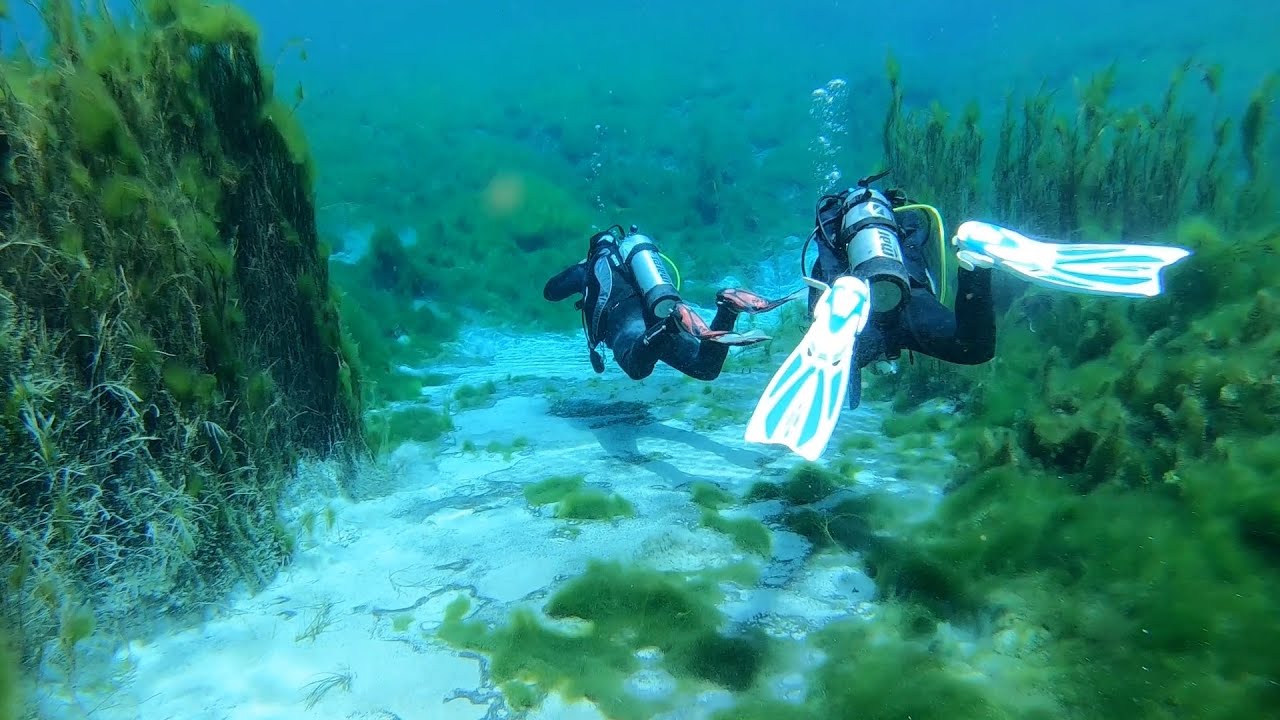 Pozos de Carapacho, el paraíso de aguas cristalinas donde Malargüe busca habilitar el buceo