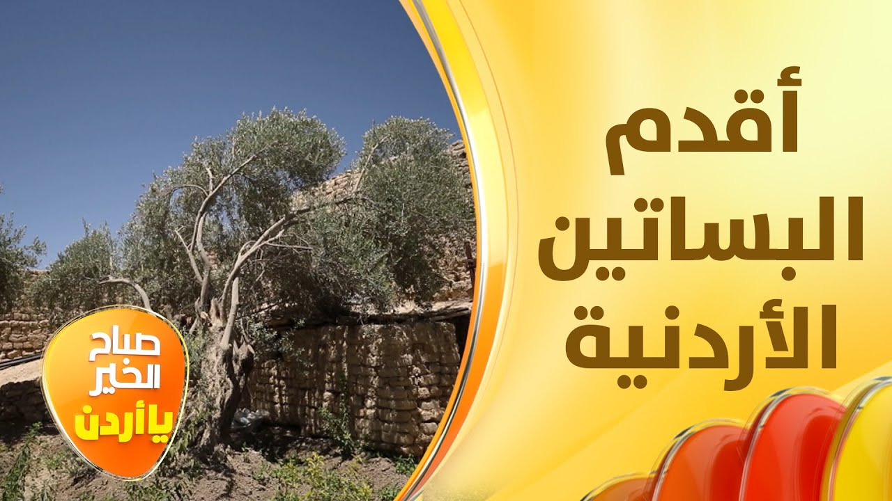 من معان، قصة بساتين عمرها أكثر من 3 قرون - خفايا الحكاية