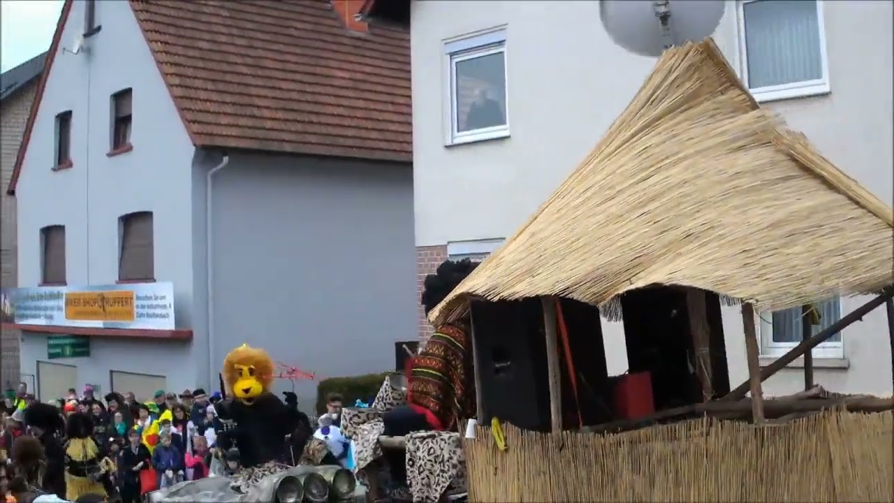 Fasnachtsumzug Dahn 2019 - Teil 3 von 4