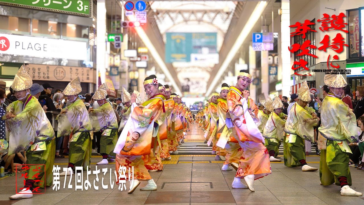 【よんでんグループよさこい公式】第72回よさこい祭り「護持に芽吹き」