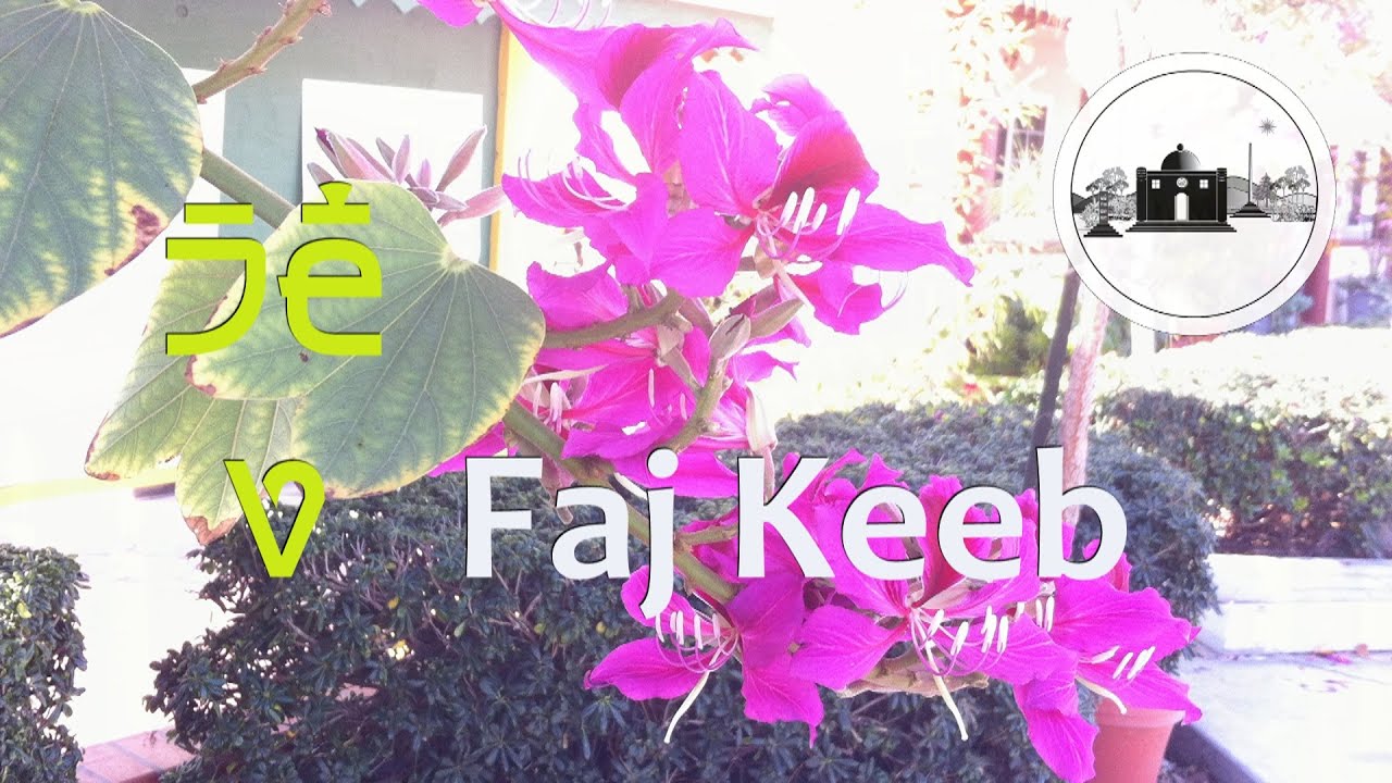 Hmoob Faj Keeb: Soob Lwj Zwm Mooj Kav (Shonglueism)