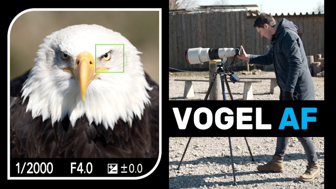 Vogel-Augen-Autofokus – Sony Alpha 1 {Review & Test} 🦅 📷