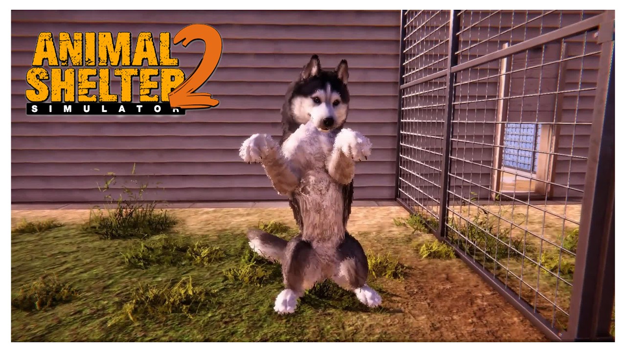 Let's rescue Pets [Animal shelter 2]